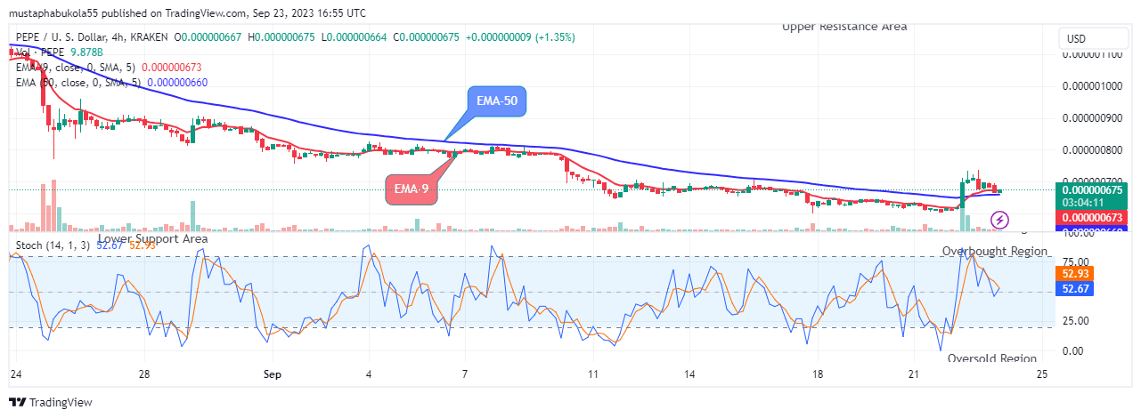 Pepe (PEPEUSD) Price Forecast:  September 25