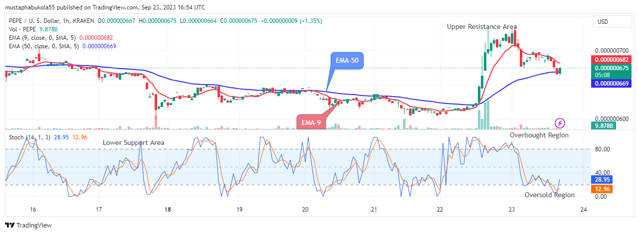 Pepe (PEPEUSD) Price Forecast:  September 25