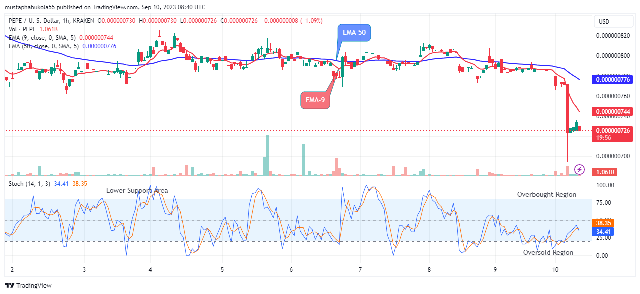 Pepe (PEPEUSD) Price May Likely Reverse at the $0.000000726 Support Level