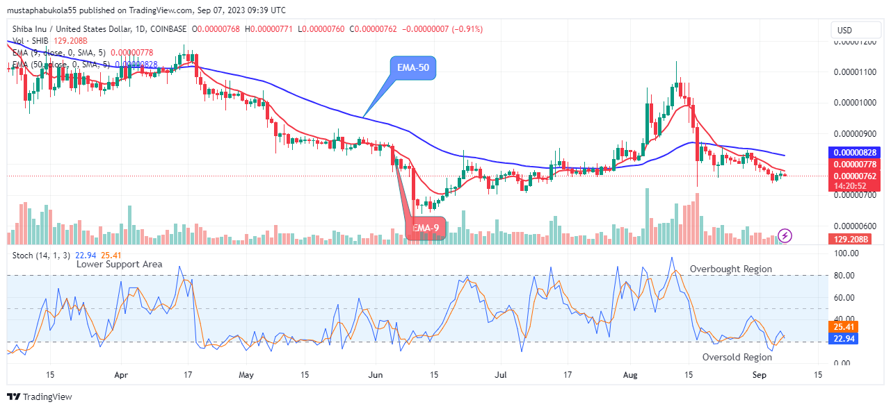 Shiba Inu (SHIBUSD) Price Will Rise from Support Soon  
