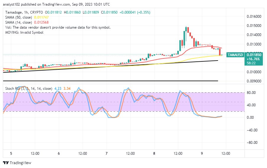 Tamadoge (TAMA/USD) Market Hits Resistance, Gaining Energy