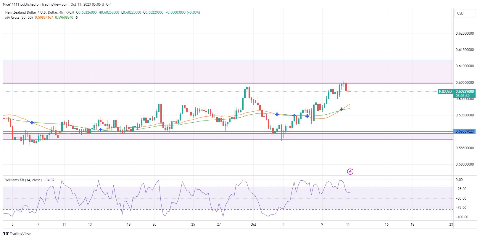 NZDUSD Ascends Towards Key Resistance Level