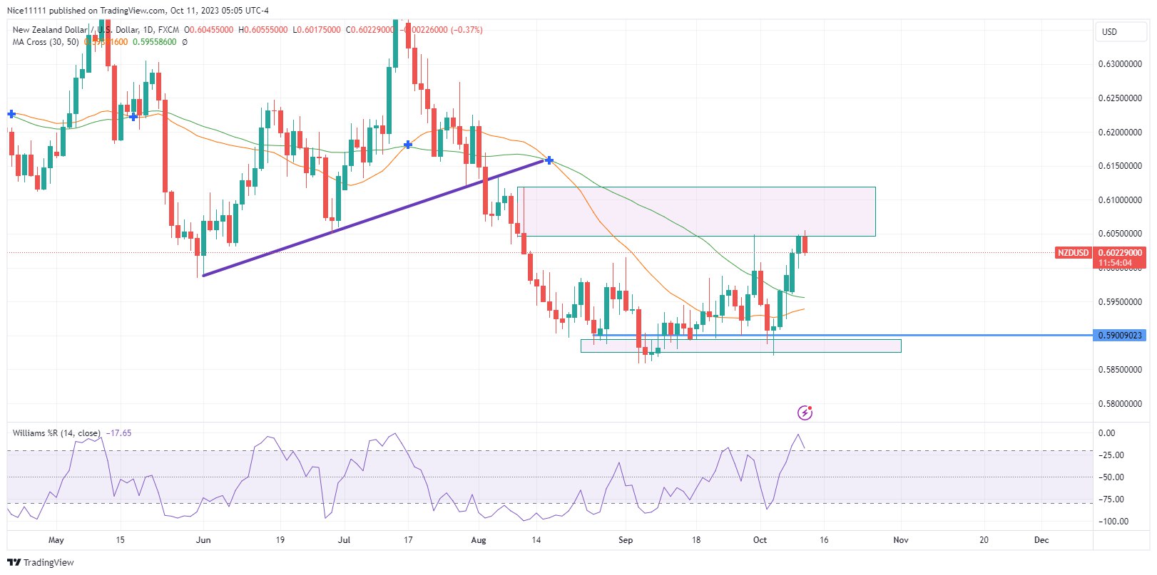 NZDUSD Ascends Towards Key Resistance Level