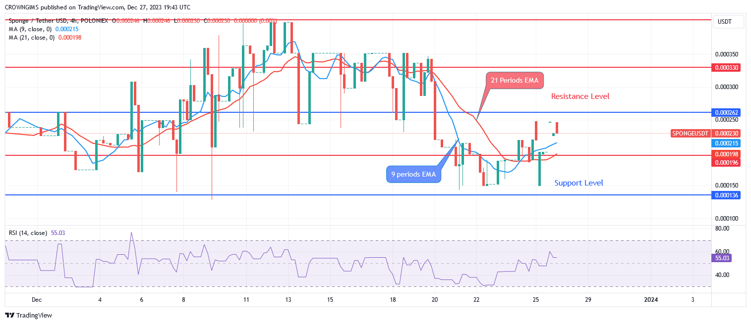 Sponge (SPONGEUSDT) Price Will Rise Above $0.000262 Under Bulls' Influence
