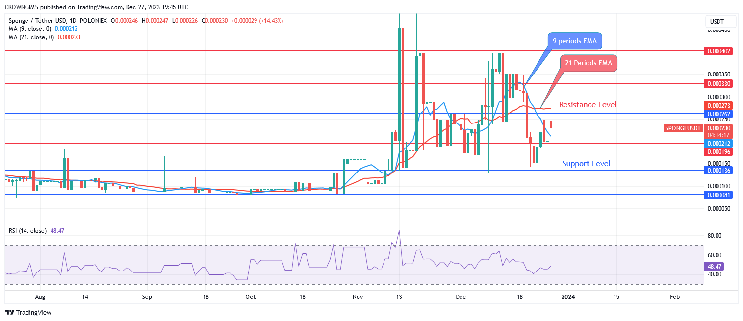 Sponge (SPONGEUSDT) Price Will Rise Above $0.000262 Under Bulls' Influence