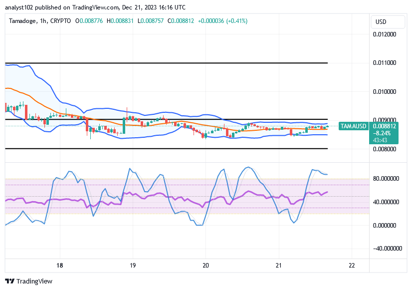 Tamadoge (TAMA/USD) Price Slows Up, Breeding Hike Index