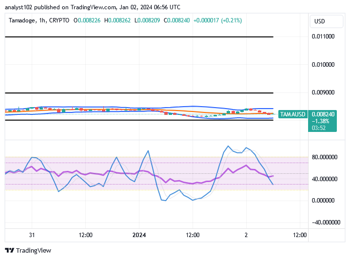 Tamadoge (TAMA/USD) Price Builds Low, Garnering Hikes Signal