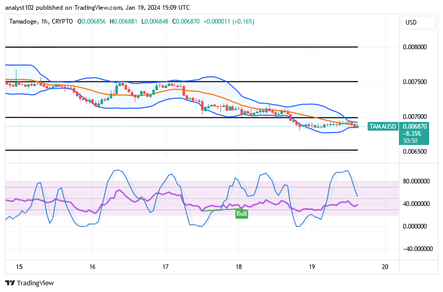 Tamadoge (TAMA/USD) Trade Goes Down, Prepares for a Shoot-up