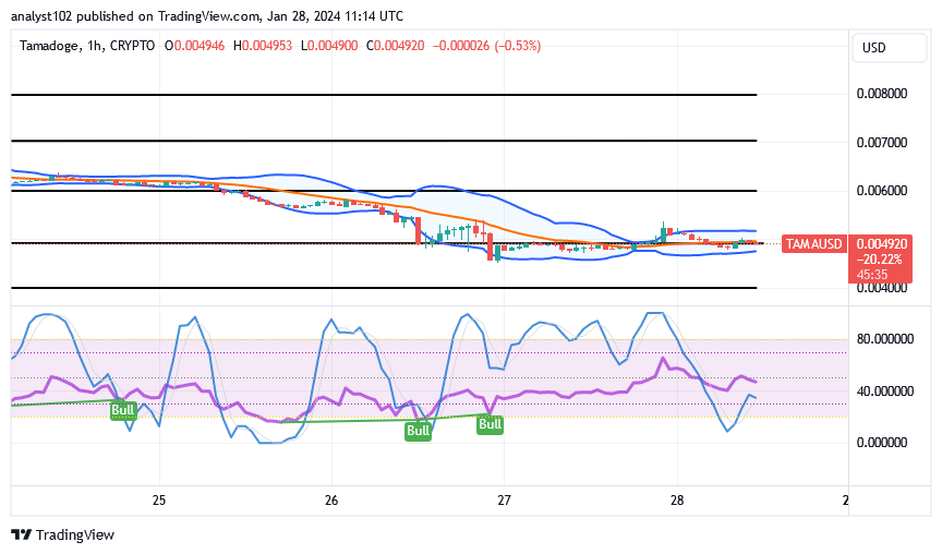 Tamadoge (TAMA/USD) Market Is Lessening, Rebuilding Hike Inputs