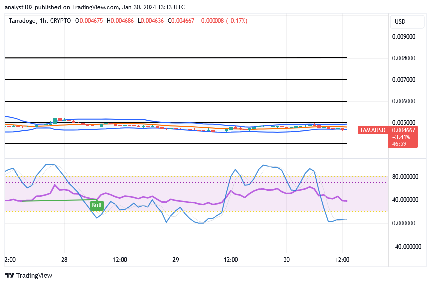 Tamadoge (TAMA/USD) Price Deepening Base, Holding a Hike