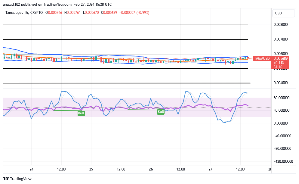 Tamadoge (TAMA/USD) Trade Is Setting a Base, Keeping Hikes