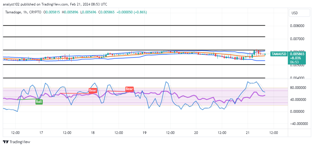 Tamadoge (TAMA/USD) Price Is Correcting, Keeping a Bounce Sign