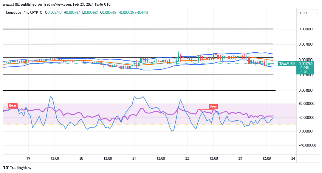 Tamadoge (TAMA/USD) Market Goes Lowly, Formulating Hike Signs