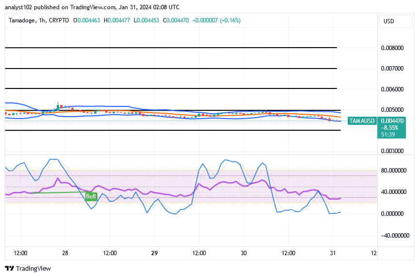 Tamadoge (TAMA/USD) Trade Seeking a Base, Deferring Spikes