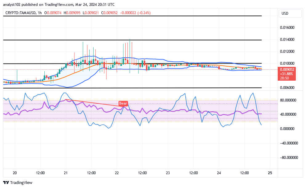 Tamadoge (TAMA/USD) Trade Is Forming a Base, Holding Bounces