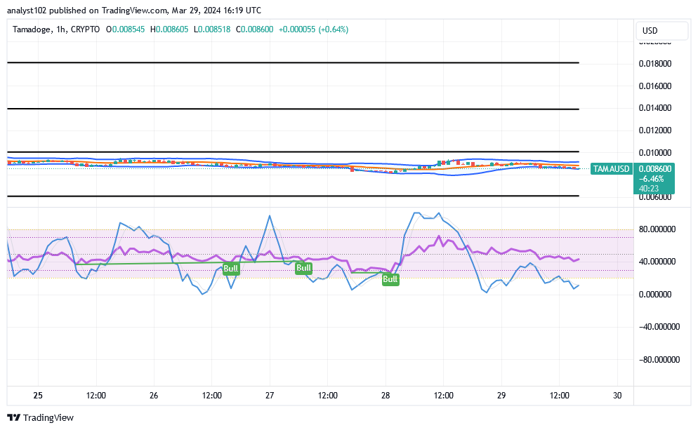 Tamadoge (TAMA/USD) Price Is Precipitating, Posing Hike Signs