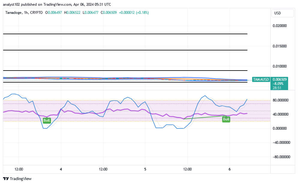 Tamadoge (TAMA/USD) Price Decompresses, Finding Spikes