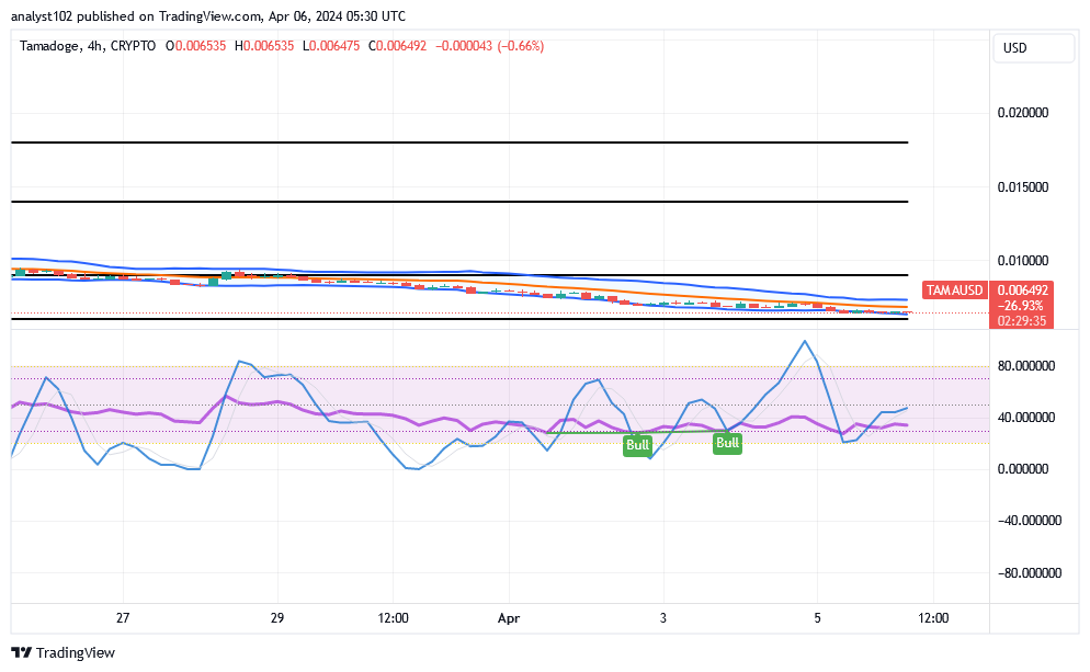 Tamadoge (TAMA/USD) Price Decompresses, Finding Spikes