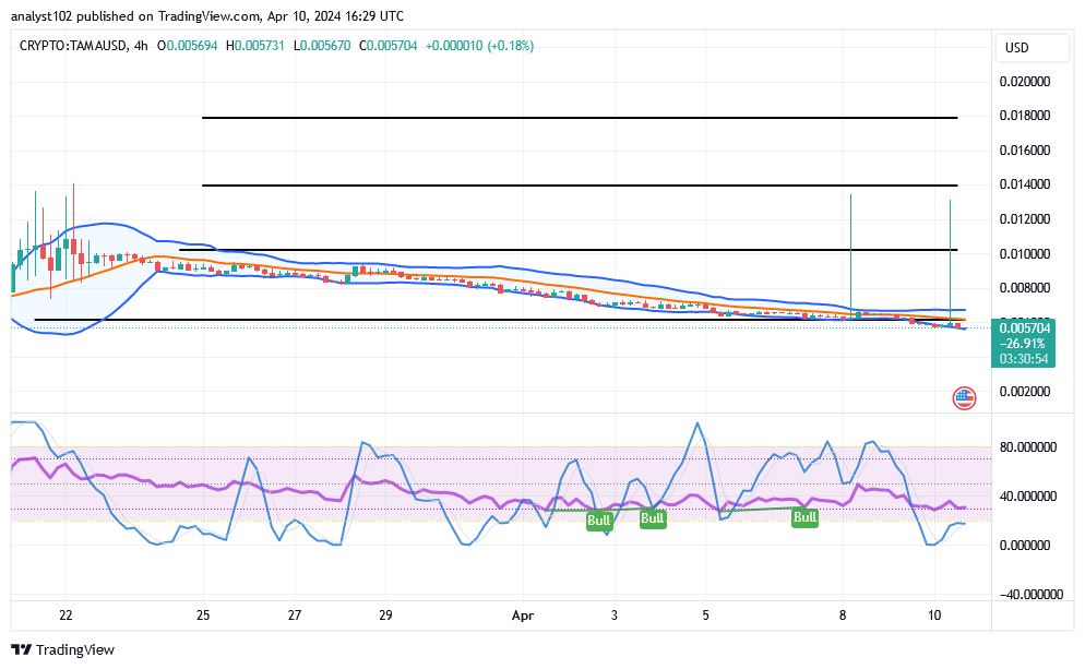 Tamadoge (TAMA/USD) Price Is Decreasing, Building Bounces Signs