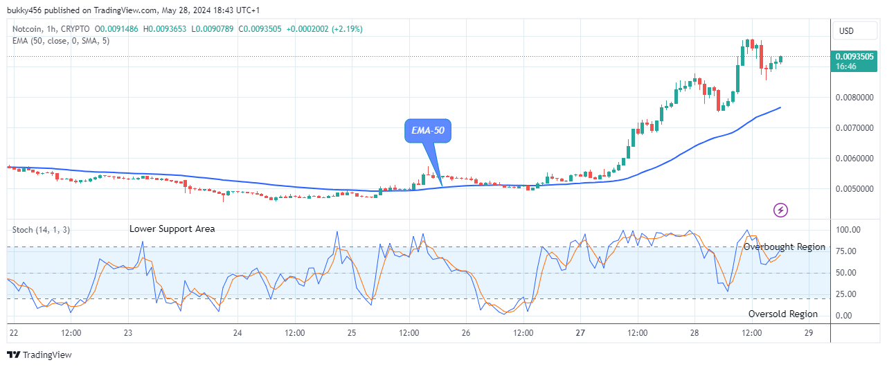 Notcoin (NOTUSD) Holds Above the $0.00918 Supply Mark 