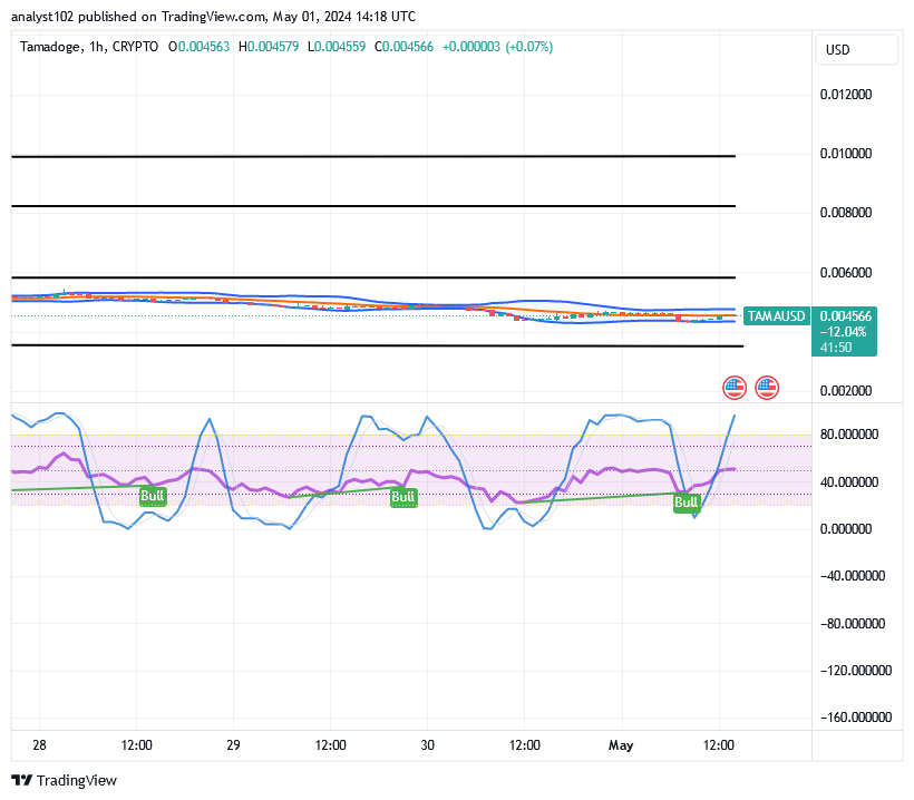 Tamadoge (TAMA/USD) Prices Are Spiking, Staying Lowly