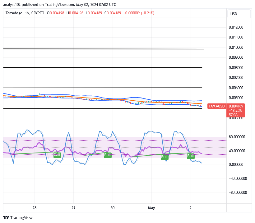 Tamadoge (TAMA/USD) Price Moves Down; Breeding Bounce Signs