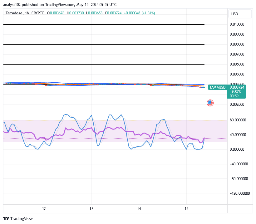 Tamadoge (TAMA/USD) Trade Is Jerking Low, Finding Supports