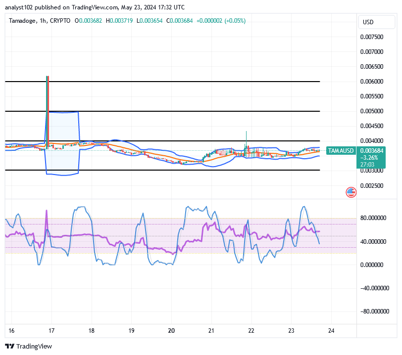 Tamadoge (TAMA/USD) Price Has Recessed, Holding Spike Inputs