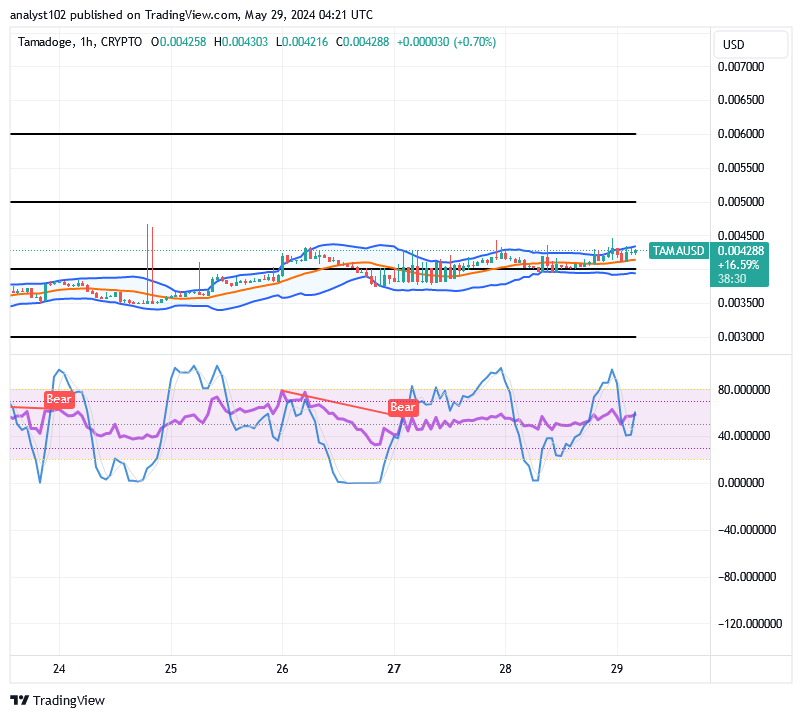 Tamadoge (TAMA/USD) Price Is Bouncing, Hovering at $0.004