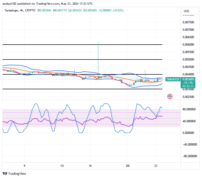 Tamadoge (TAMA/USD) Price Has Recessed, Holding Spike Inputs