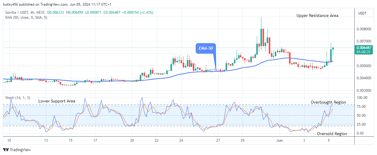 Gorilla (GORILLAUSD) Offers Potential Bullish Opportunity