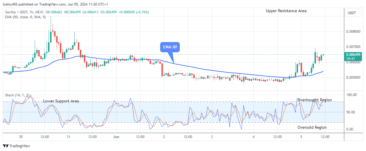 Gorilla (GORILLAUSD) Offers Potential Bullish Opportunity