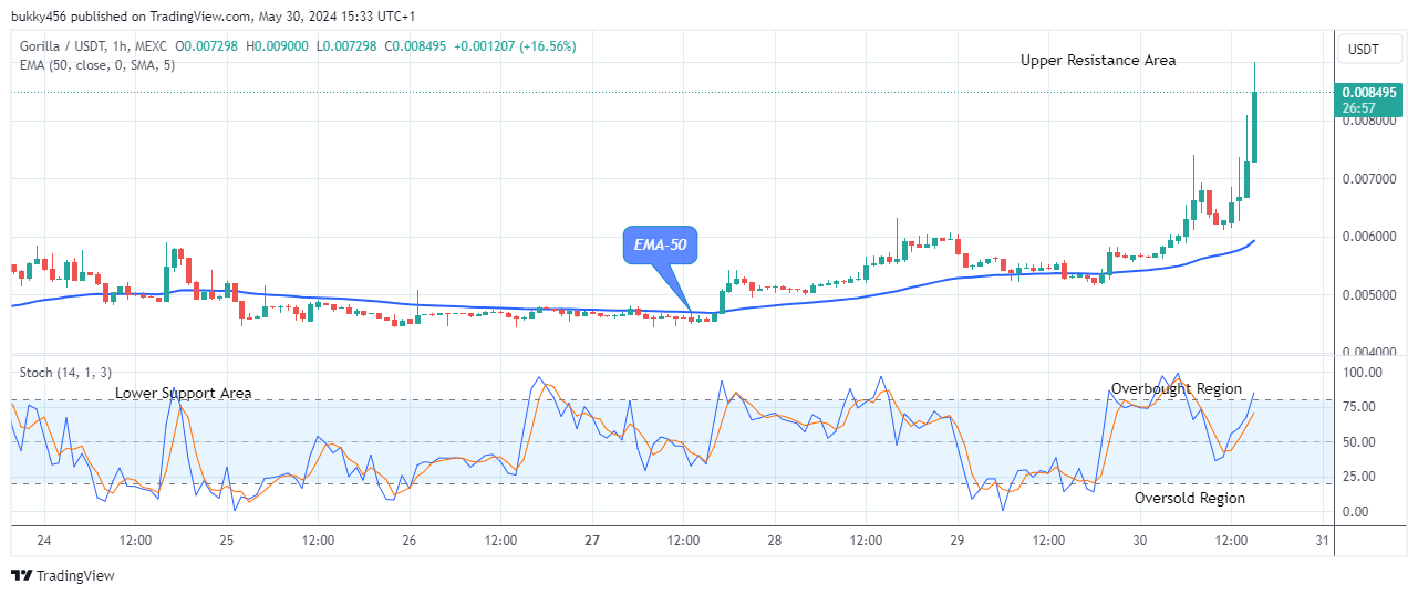 Gorilla (GORILLAUSD) Price Will Surge Higher and This May Continue