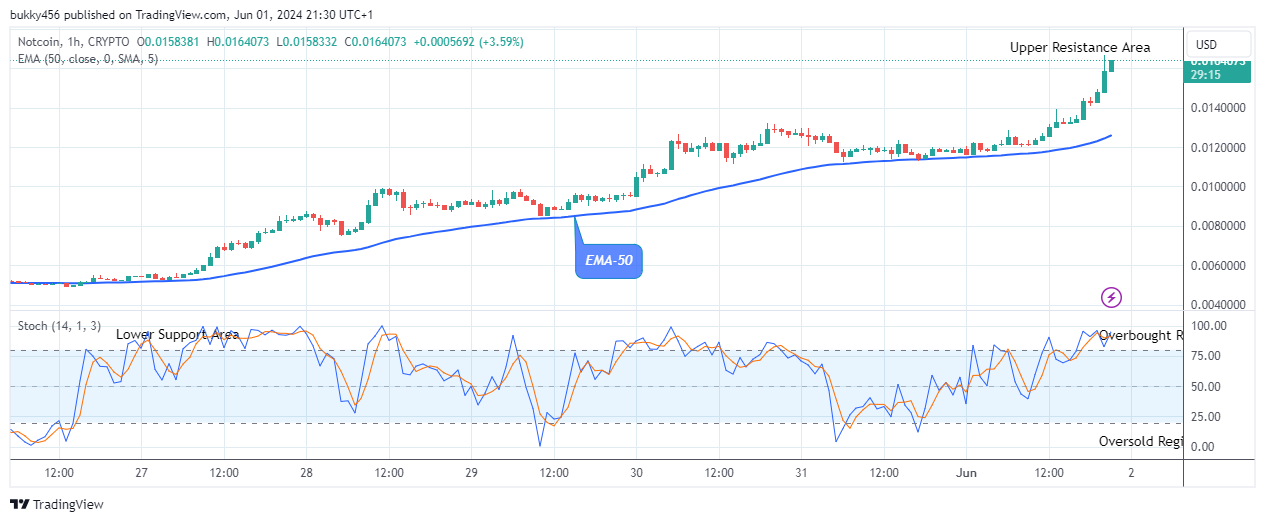 Notcoin (NOTUSD) – Bulls are Gaining More Strength 
