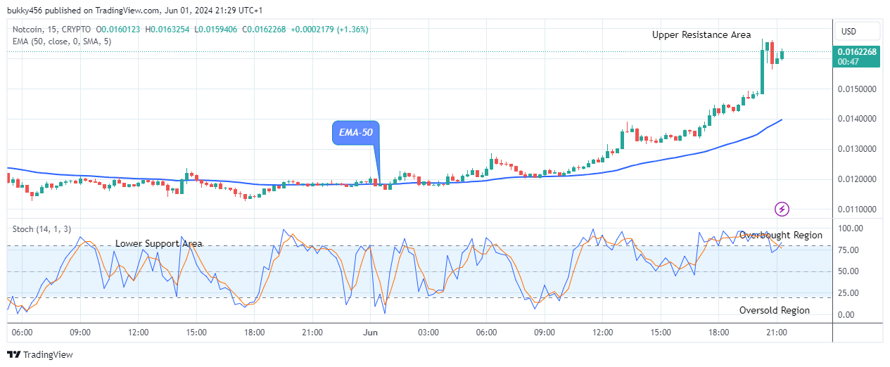 Notcoin (NOTUSD) – Bulls are Gaining More Strength 