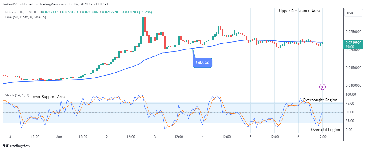 Notcoin (NOTUSD) Bulls Are Making Solid Progress