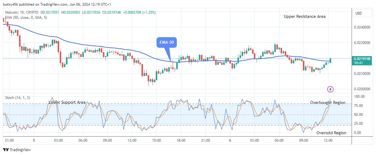 Notcoin (NOTUSD) Bulls Are Making Solid Progress