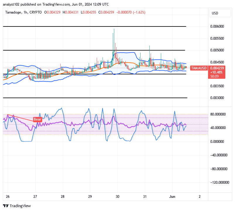Tamadoge (TAMA/USD) Price Builds Bases, Holding Skyrockets
