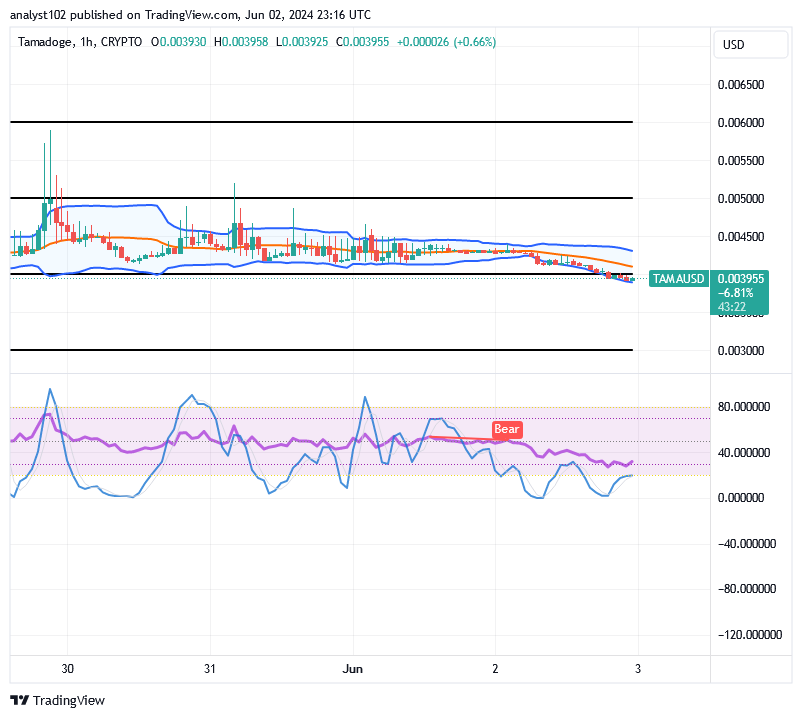 Tamadoge (TAMA/USD) Price Poises Actions, Settling for Rebounds