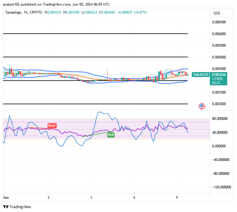 Tamadoge (TAMA/USD) Price Elongates a Base, Tending Spikes