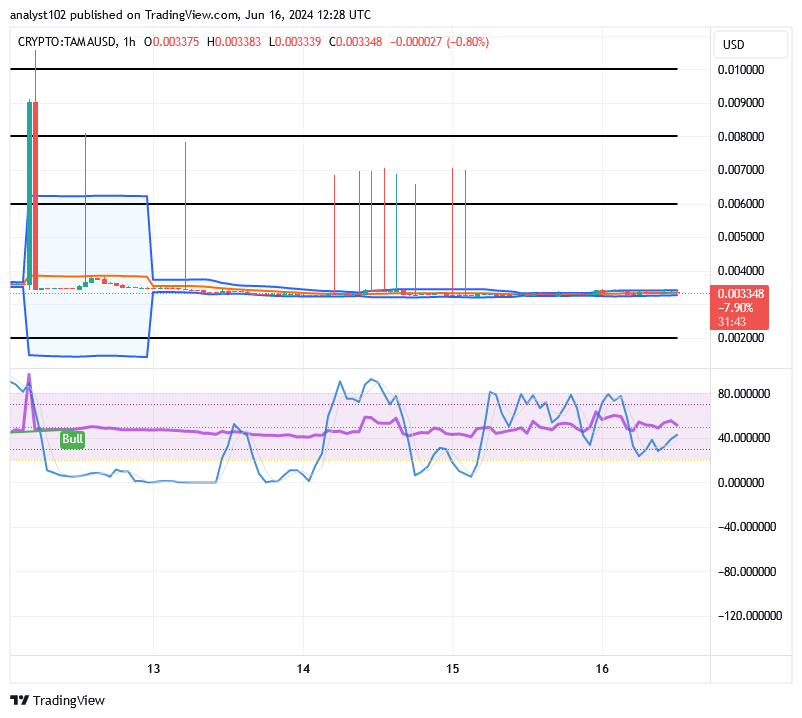 Tamadoge (TAMA/USD) Price Extends Base, Breathing Rise Inputs