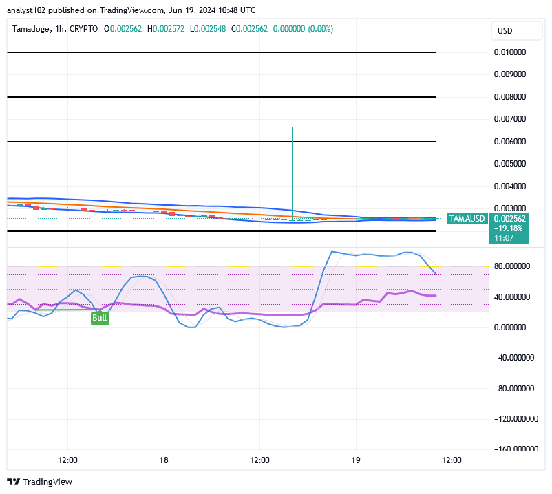Tamadoge (TAMA/USD) Price Thrives a Base, Breeding Spiral Signs