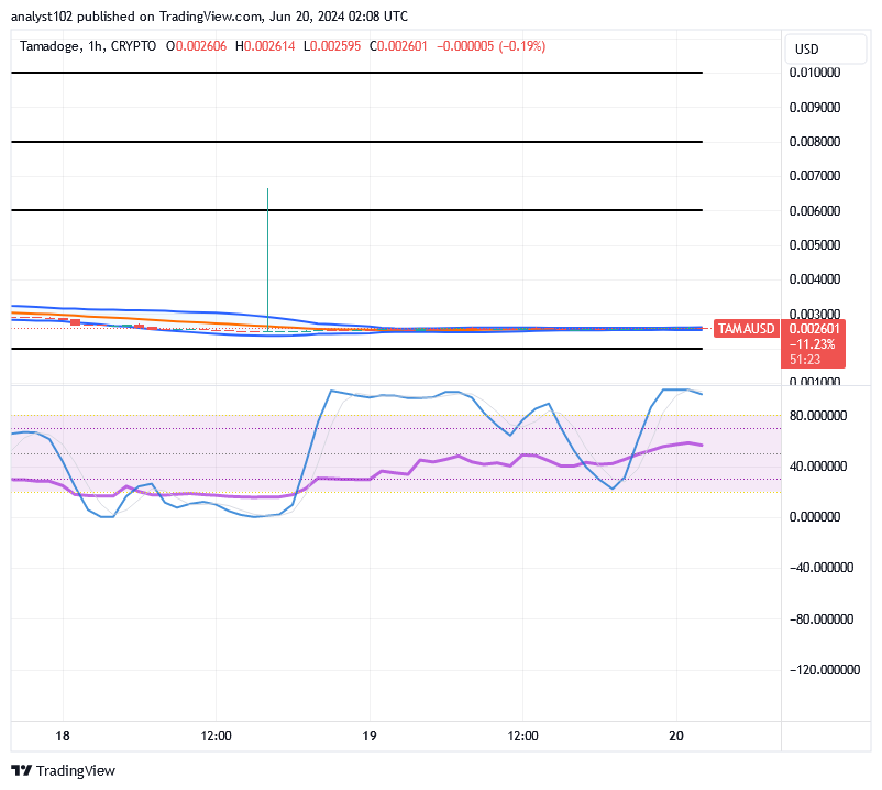Tamadoge (TAMA/USD) Price Nurtures Hikes, Forming a Base