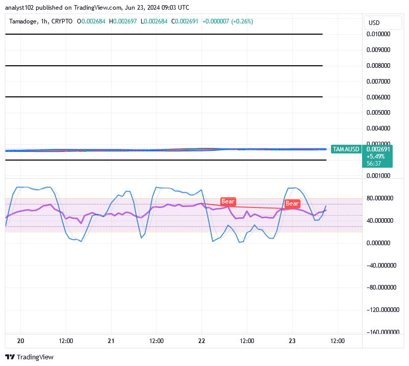 Tamadoge (TAMA/USD) Price Is in Recession, Holding Rebounds