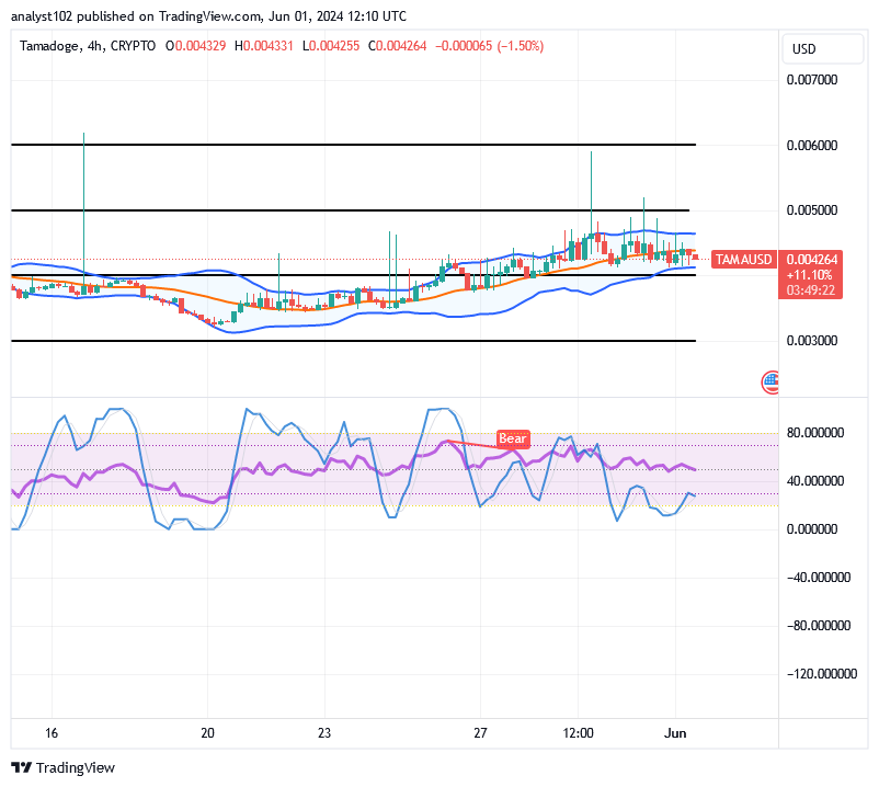 Tamadoge (TAMA/USD) Price Builds Bases, Holding Skyrockets