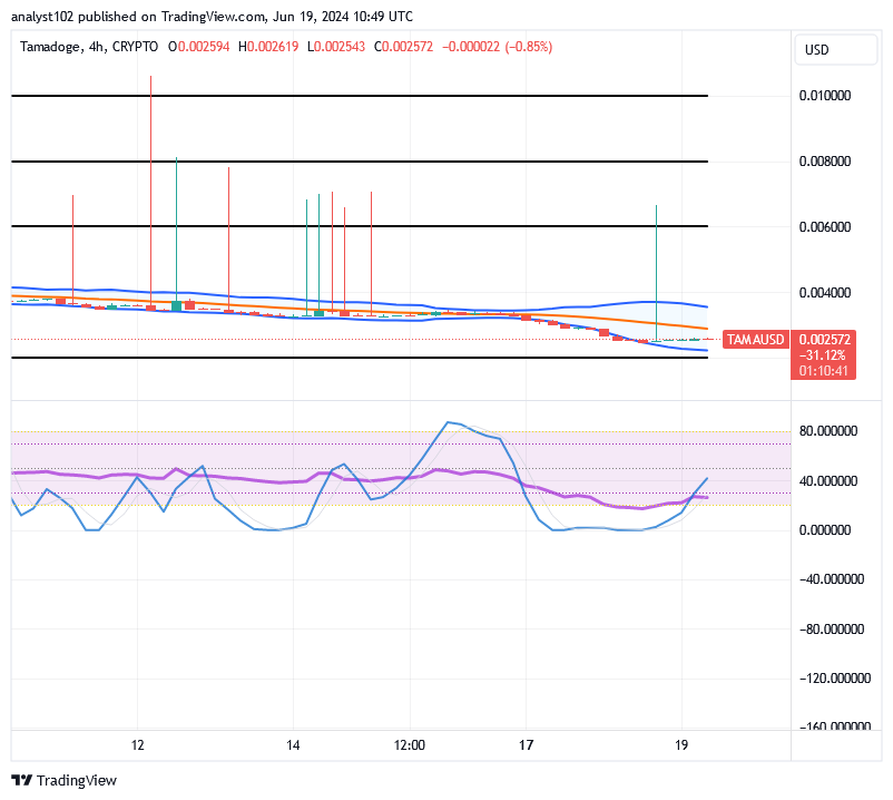Tamadoge (TAMA/USD) Price Thrives a Base, Breeding Spiral Signs
