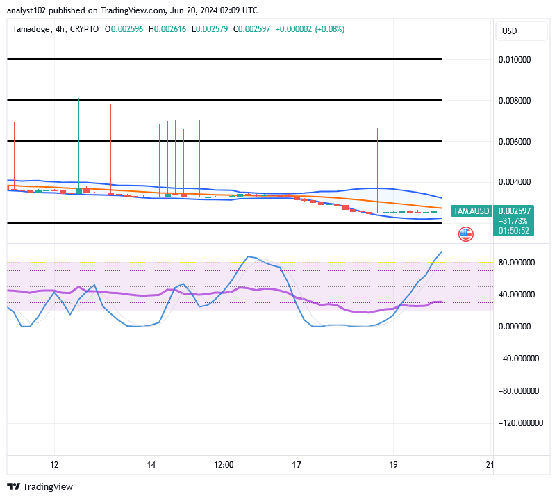 Tamadoge (TAMA/USD) Price Nurtures Hikes, Forming a Base
