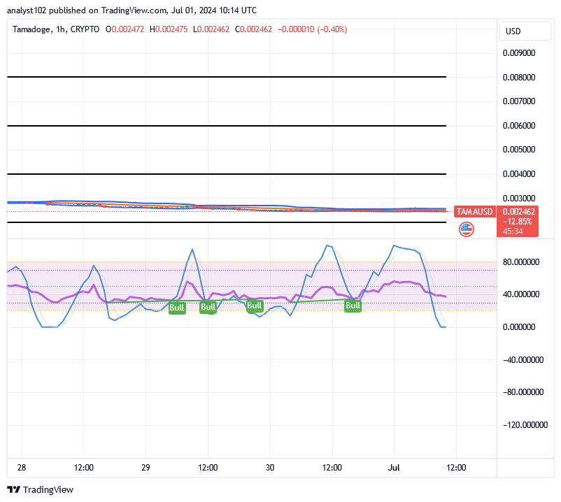 Tamadoge (TAMA/USD) Market Is Fine-tuned, Holding Bounces
