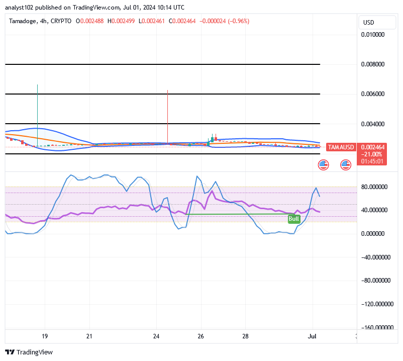 Tamadoge (TAMA/USD) Market Is Fine-tuned, Holding Bounces