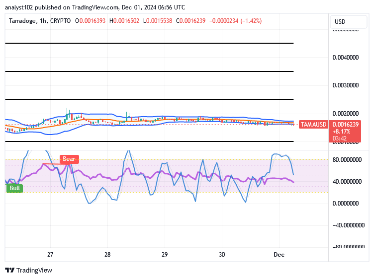 Tamadoge (TAMA/USD) Market Re-energizes, Building Momentum